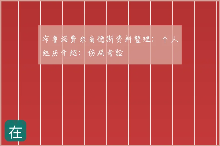 布鲁诺费尔南德斯资料整理:个人经历介绍:伤病考验
